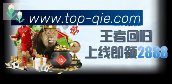奖项证书